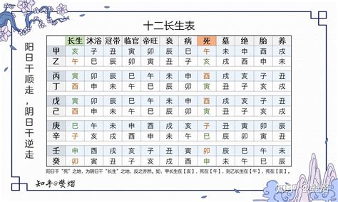 12 長生|八字算命基礎——十二長生